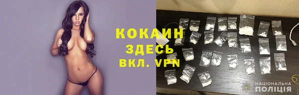 не бодяженный Бородино