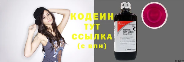 не бодяженный Бородино