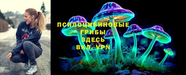 молекула духа Рославль