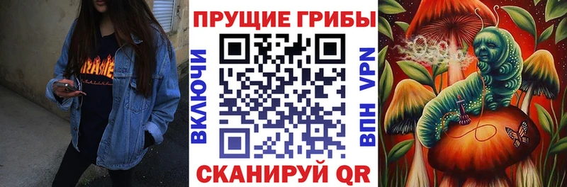 Галлюциногенные грибы Psilocybe Стерлитамак