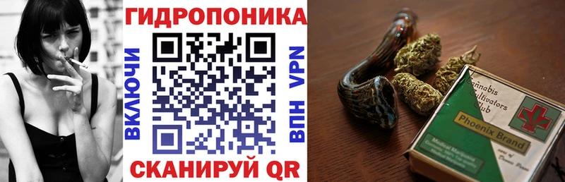 Каннабис SATIVA & INDICA купить наркотик мега tor Стерлитамак